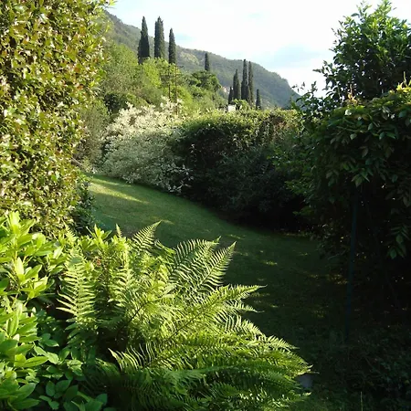 公寓 Beautiful New With Private Entrance And Parking 5 Min Walking From Center