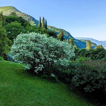 Beautiful New With Private Entrance And Parking 5 Min Walking From Center